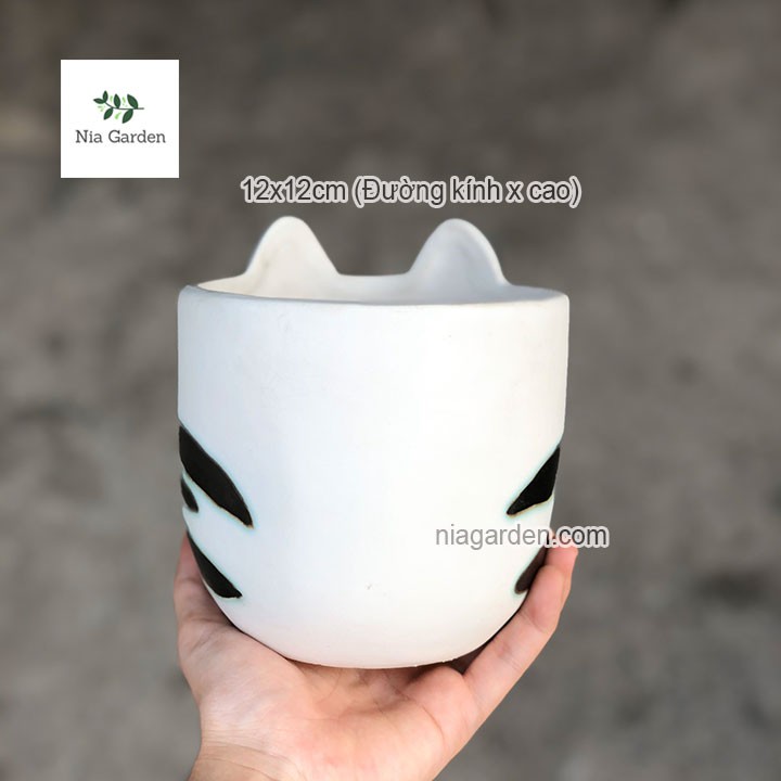 Chậu mèo láu cá trồng cây cảnh xương rồng mini sen đá bầu nhỏ Nia Garden N4