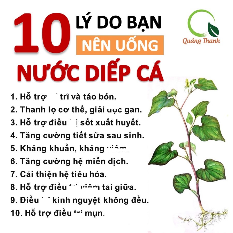 [Mã BMBAU50 giảm 7% đơn 99K] Bột diếp cá nguyên chất sấy lạnh thanh nhiệt Quảng Thanh hộp 15 gói