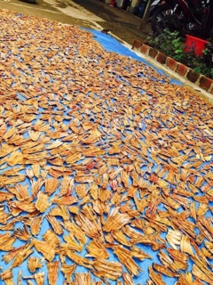 Măng khô Tây Nguyên