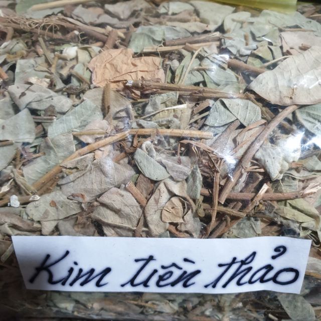 Kim Tiền Thảo