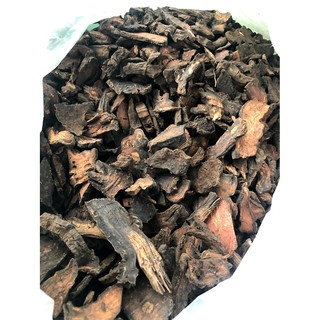 Hà thủ ô đỏ
