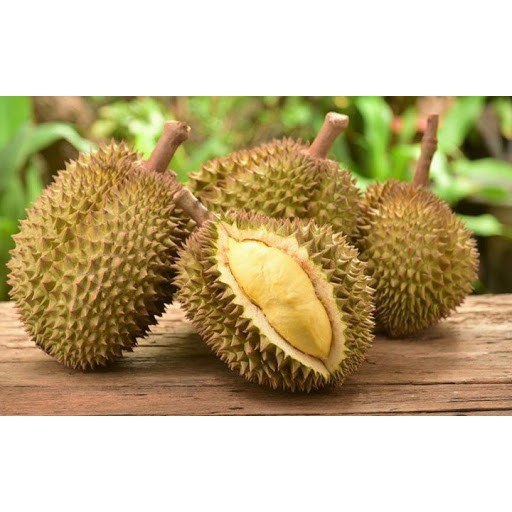 Hương Sầu Riêng - Durian Flavor 30ML- Hương liệu thực phẩm