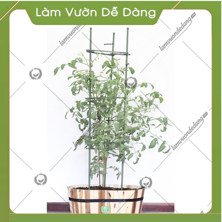 TAM GIÁC - KHUNG TRỒNG CÂY Dùng để đỡ cây, giữ không cho cây đổ ngã, giúp cây hoa đứng vững không bị nghiêng gãy đổ cây