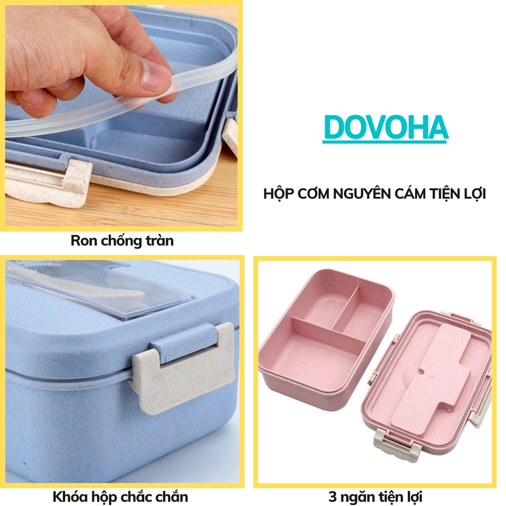 Hộp Cơm lúa mạch 3 ngăn giữ nhiệt có quai kèm muỗng đũa văn phòng cao cấp DOVOHA HC02