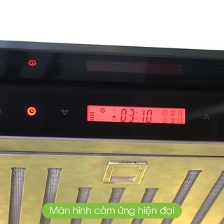 Máy hút mùi Faster FS 90EFN