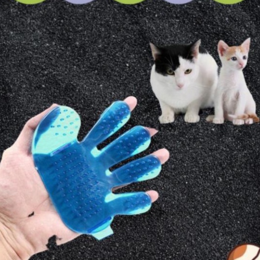 Bàn chải tắm chó mèo XPET chải tắm nhựa mềm cho thú cưng, găng tay đeo ngón tắm rửa, kì cọ thú cưng