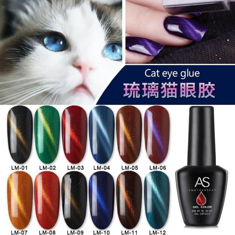[SIEU SALE] Sơn gel As đen mắt mèo chính hãng set BM chất đặc, mịn, chuẩn màu