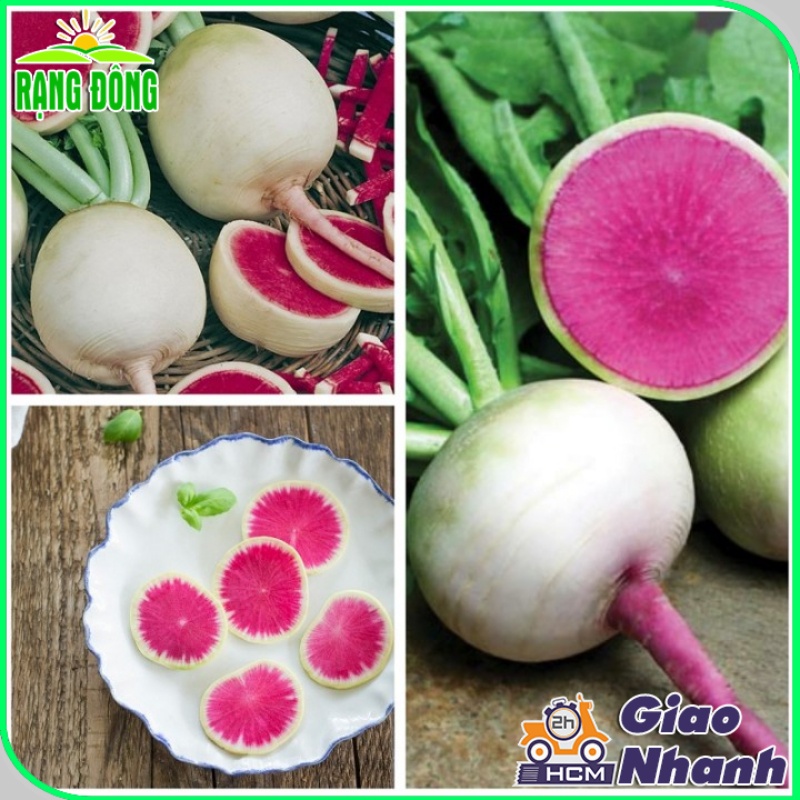 Hạt giống Củ Cải Ruột Hồng dễ trồng, sinh trưởng khỏe, ít sâu bệnh (gói 1 gr) - Hạt giống Rạng Đông