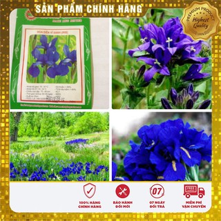 Hạt Giống Hoa Diên Vĩ Xanh (10 hạt ) IRIS