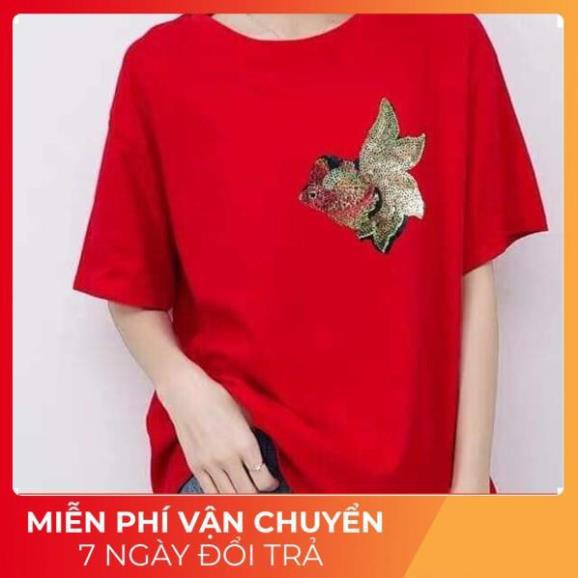 Áo kim sa cá màu đỏ