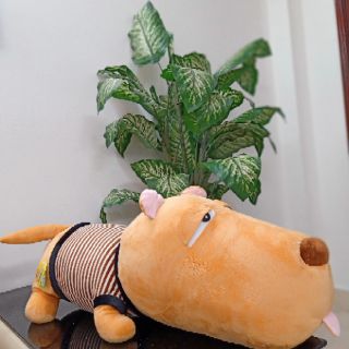 Gấu bông chó Puco