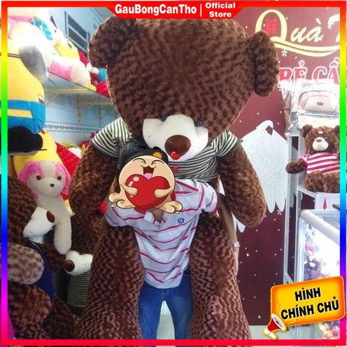Gấu Bông Khổng Lồ Giá Rẻ - Gấu Teddy Khổ 2m Cao 1m8 Siêu To