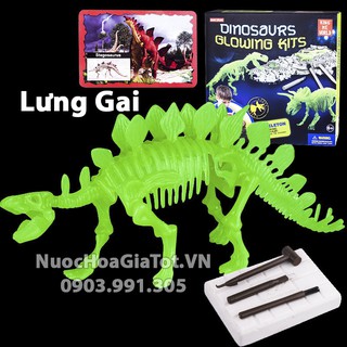 BỘ ĐỒ CHƠI KHẢO CỔ ĐÀO HÓA THẠCH 1 CON KHỦNG LONG LƯNG GAI SIZE L 25CM CÓ DẠ QUANG