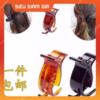 Set kẹp càng cua