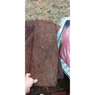 2 bảng dớn trồng lan khổ 60cm x20cm x3cm chắc đẹp