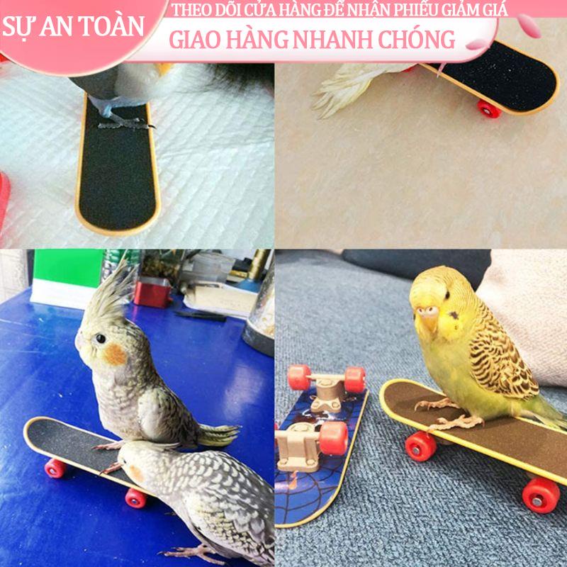 ▬●Set 5 đồ chơi xe đẩy hàng + vòng tròn huấn luyện + ván trượt và quả bóng cho chim vẹt