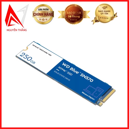 Ổ cứng SSD WD Blue SN570 250GB NVMe PCIe Gen3x4 chính hãng