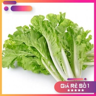 Hạt giống cải bẹ dún, 1 gói 20gr