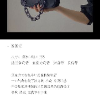 [ORDER TAOBAO] Túi kẹp nách + dây xích