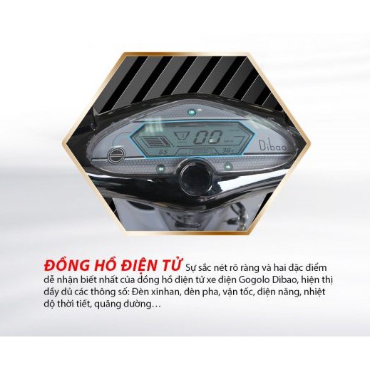 Đồng hồ công tơ mét xe máy điện Dibao Gogo New (Mặt đồng hồ cơ)