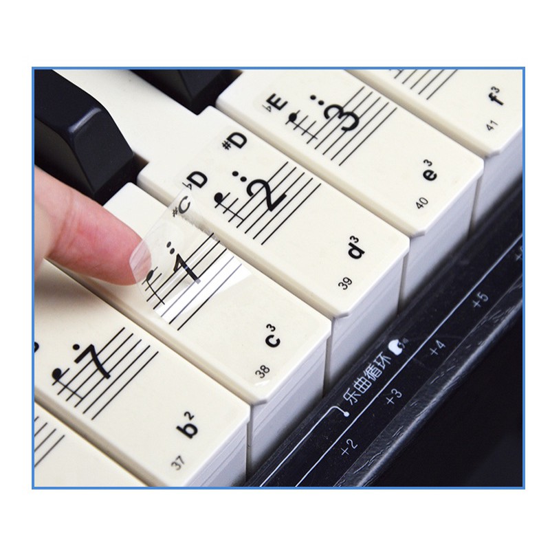 Sticker dán nốt bàn phím đàn piano organ dùng cho tất cả các phím đàn 88, 76, 61, 54, 36 phím Enzi