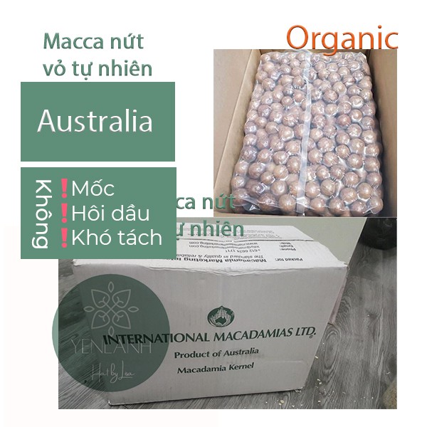 Quả macca nứt vỏ tự nhiên dễ bóc 500gr Yenlanhnatural