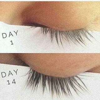 🥥🥥 GELMICOCO 🥥🥥