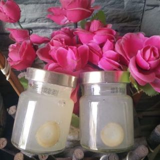 Combo Yến hũ chưng sẵn
