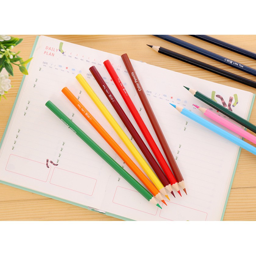 Bút Chì Màu Cốc Color Pencil 12 màu/18 màu/ 24 màu/ 36 màu cute