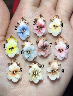 Hoa bột ảnh thật shop chụp lẻ 9k/1b
