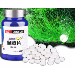 Viên Sủi CO2 Hộp 60 Viên Cung Cấp CO2 Cho Bể Thủy Sinh