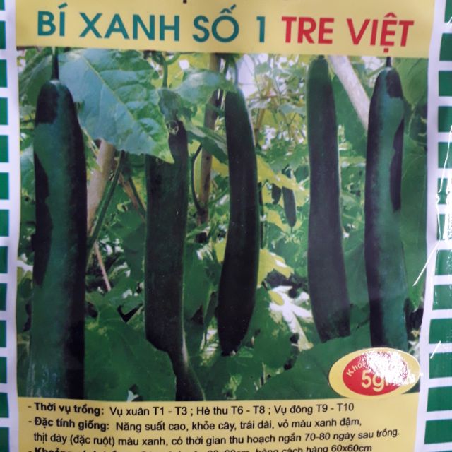 Hạt giống bí xanh số 1 (5gram)