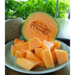 Hạt giống dưa tây