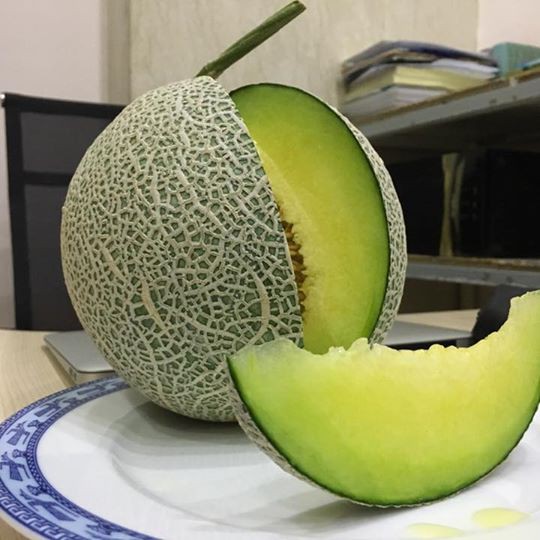 10 Hạt giống Dưa lưới tròn (lõi xanh) (tặng gói Kích nẩy mầm và Hướng dẫn)