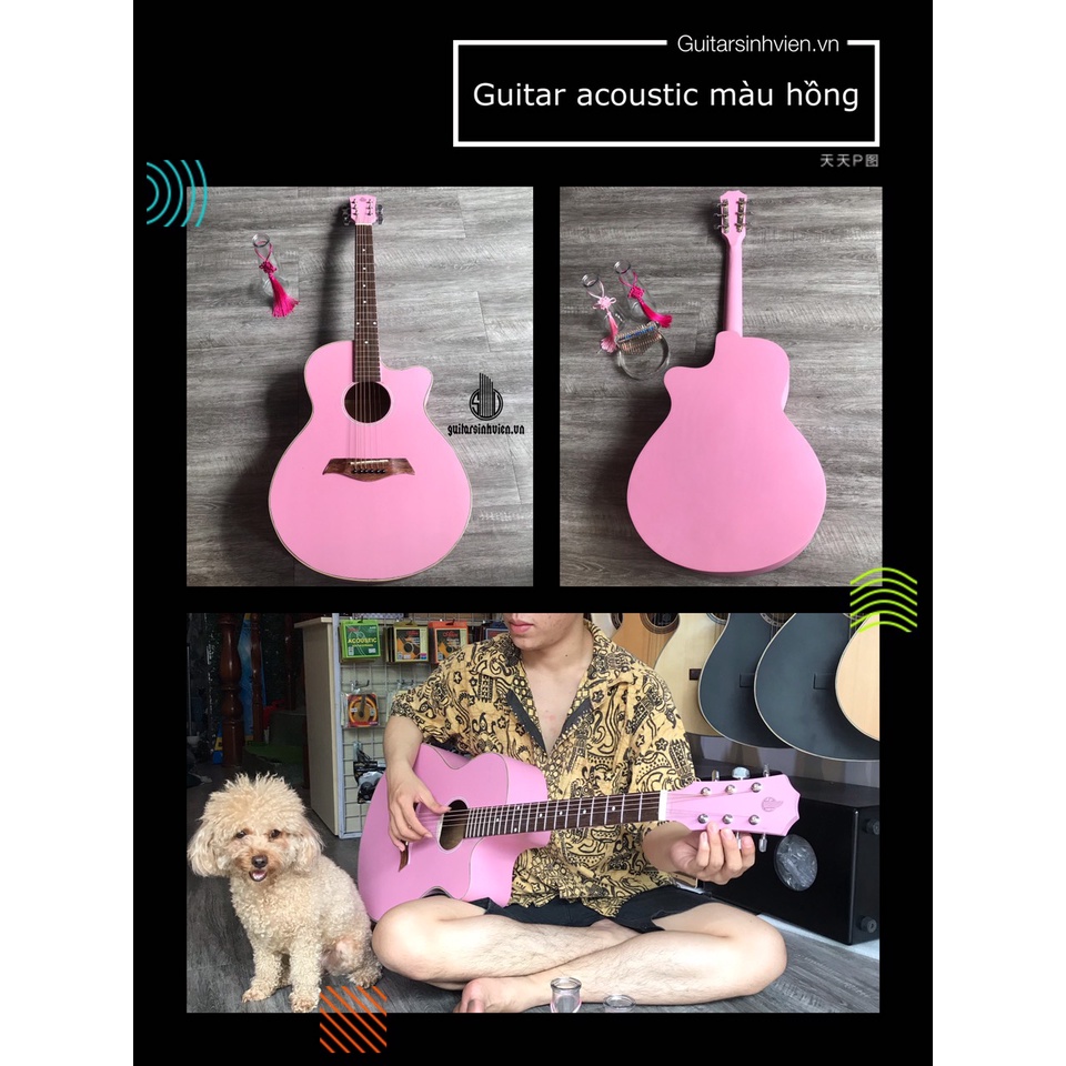 Đàn guitar acoustic màu có ty SV-A1CL đàn cho người mới - Tặng 7 phụ kiện - Bảo hành 1 năm