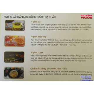 Đông trùng hạ thảo sấy thăng hoa vigor