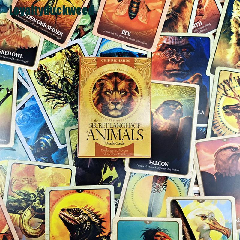 Bộ Bài Tarot Hình Động Vật Đáng Yêu