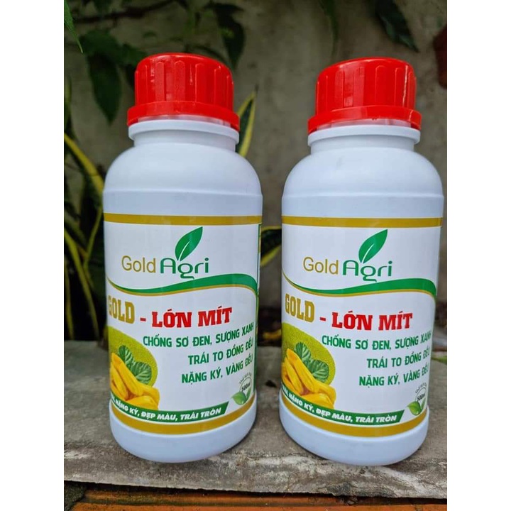 GOLD - LỚN MÍT Chống Sơ Đen, Sượng Xanh, Trái To Đều, Nặng Ký, Lớn tráí, Múi Dày, Đẹp Màu THẾ GIỚI PHÂN BÓN