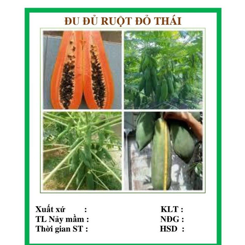 Hạt đu đủ lùn ruột đỏ Thái (5 hạt)