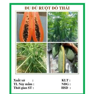Hạt đu đủ lùn ruột đỏ Thái