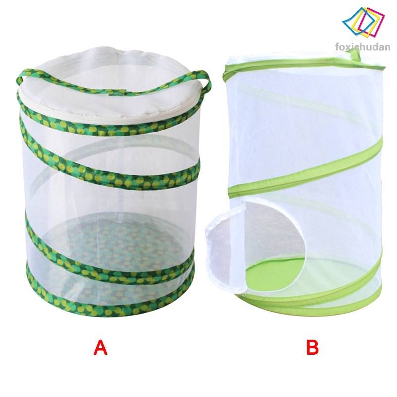 FCD☆ Insect Butterfly Garden Original Habitat Life Science Education Butterfly Kit Portable Foldable Insect Cage Insect Breeding