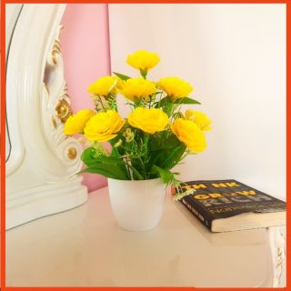 NGUYÊN LIỆU LÀM HOA CẨM CHƯỚNG [ CÓ KÈM CHẬU ]