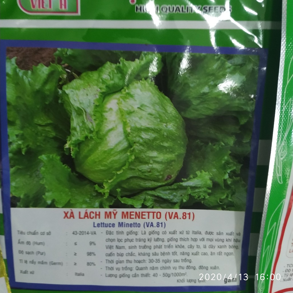 Hạt giống xà lách Mỹ Menetto