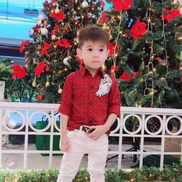 Áo sơ mi mẫu cánh chim