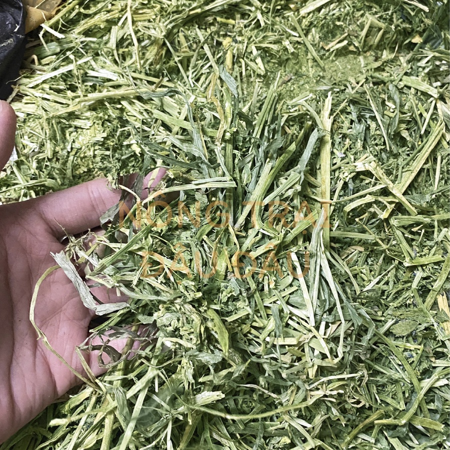 Cỏ Alfalfa Cho Thỏ, Bọ Ú, Chinchilla 500g