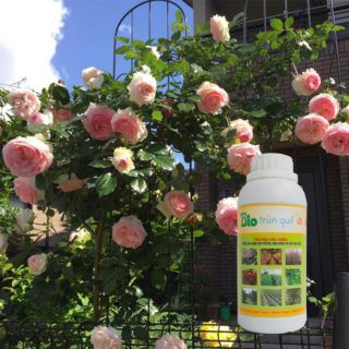Dịch trùn quế hữu cơ Bio chai 500ml