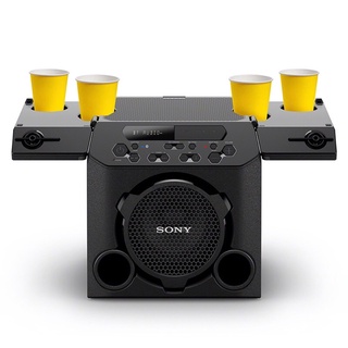 Loa Sony GTK PG10