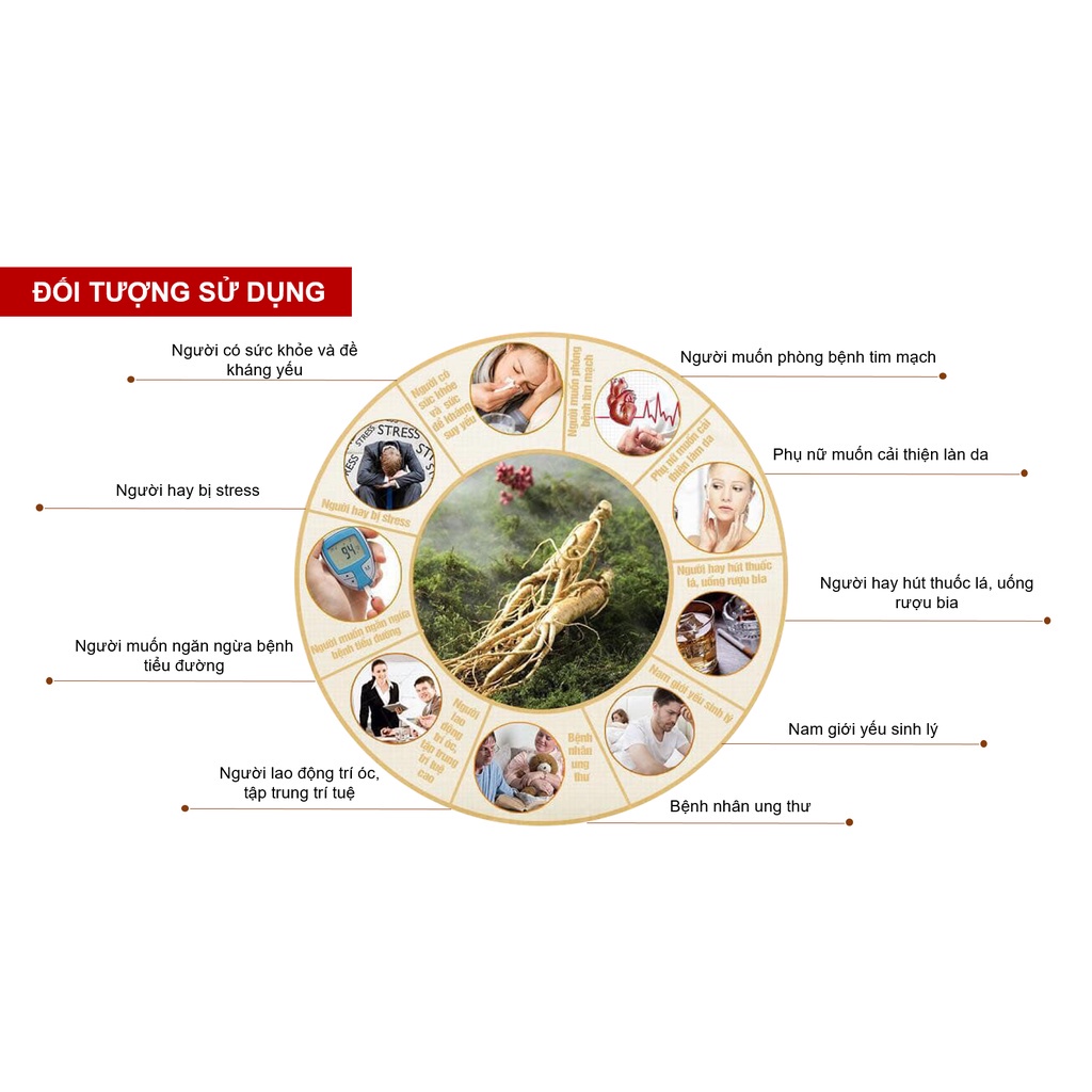 Nhân sâm Linh chi Beta Glucan 1.6 Extract Giúp Tăng Cường Sức Đề Kháng, Phục Hồi Sức Khoẻ (Hộp 30 gói)