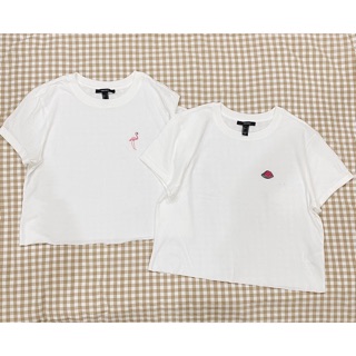 Áo thun lửng F21 thêu hình siêu xinh