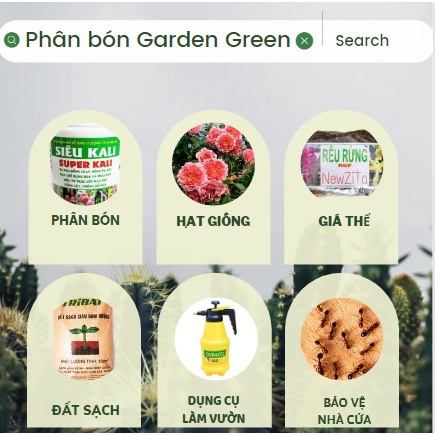 Hạt giống cà chua bi lùn lai F1 RADO 641 Rạng Đông gói 0.1g năng suất cao, chịu nhiệt tốt